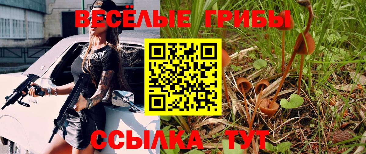 Галлюциногенные грибы мухоморы Добрянка