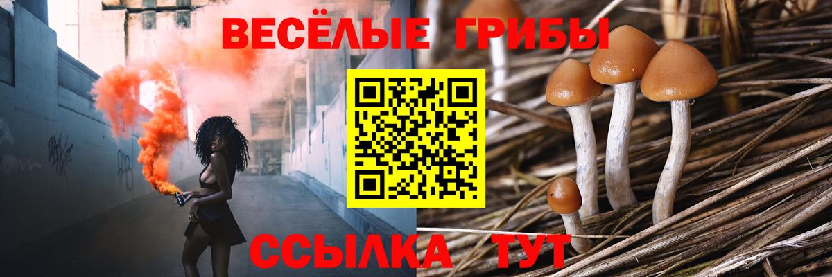 Добрянка  Псилоцибиновые грибы MAGIC MUSHROOMS  продажа наркотиков  Вход с VPN 